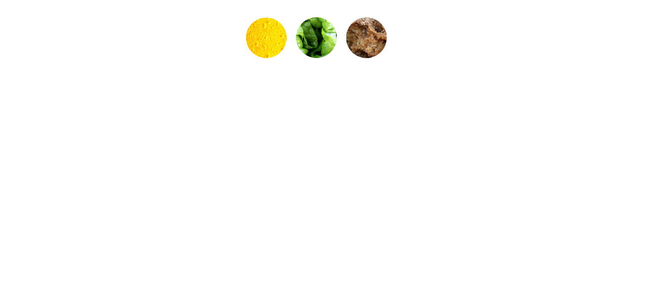 Basquery-Logo